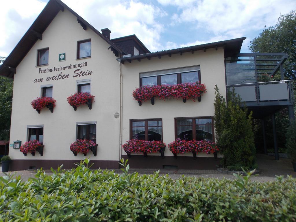 Gaestehaus "Am Weissen Stein" Cochem Exterior foto